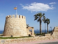 Torrevieja forums - The forums for the Costa Blanca